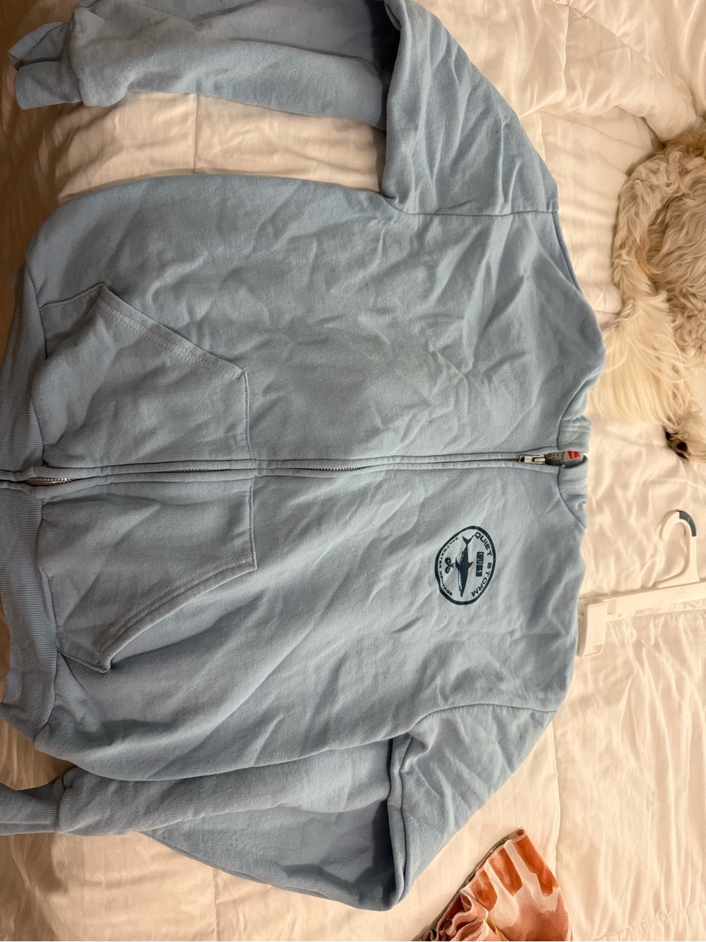 Kids Light Blue Full-Zip Hoodie with Chest Logo